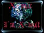 Groupe X-mic